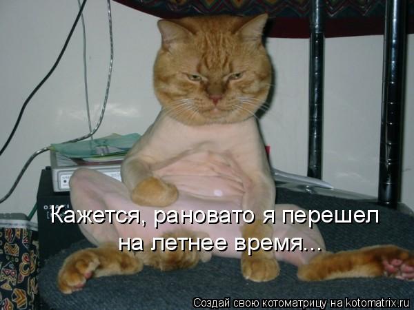 Котоматрица: Кажется, рановато я перешел  на летнее время...