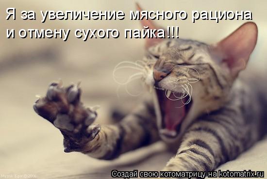 Я за увеличение мясного рациона и отмену сухого пайка!!!... Котоматрица: Я за увеличение мясного рациона и отмену сухого пайка!!!