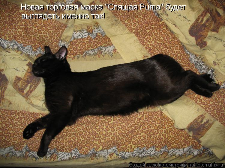 Новая торговая марка "Спящая Puma" будет выглядеть именно так!... Котоматрица: Новая торговая марка "Спящая Puma" будет выглядеть именно так!