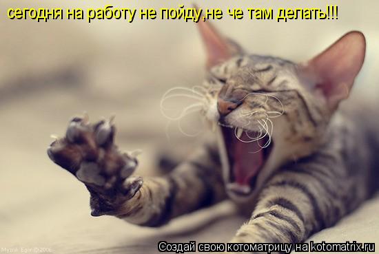 сегодня на работу не пойду,не че там делать!!!... Котоматрица: сегодня на работу не пойду,не че там делать!!!