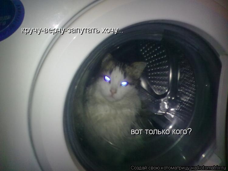 кручу-верчу-запутать хочу... вот только кого?... Котоматрица: кручу-верчу-запутать хочу... вот только кого?
