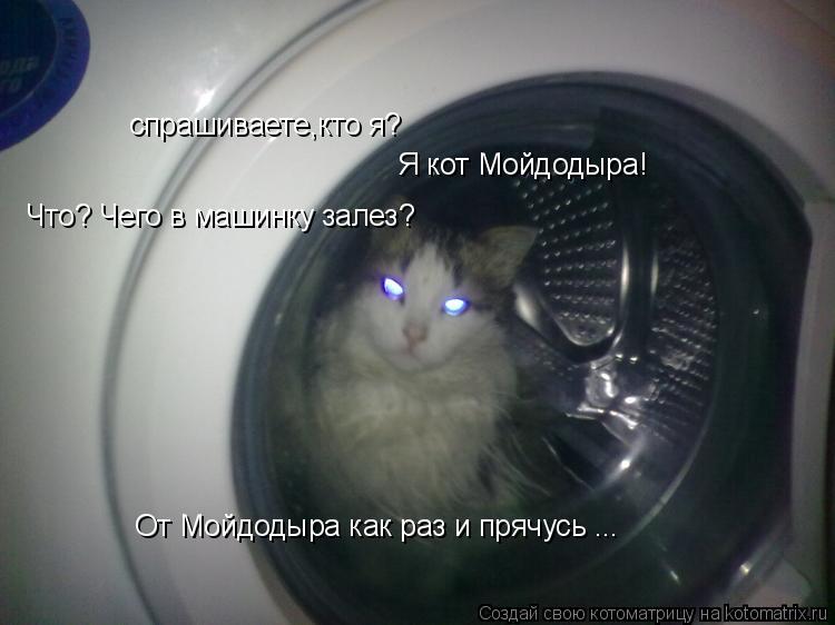 Котоматрица: спрашиваете,кто я? Что? Чего в машинку залез? От Мойдодыра как раз и прячусь ... Я кот Мойдодыра!