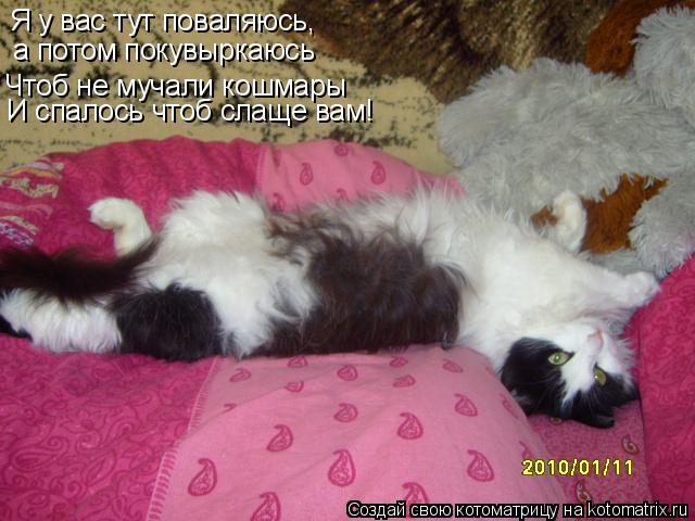 Котоматрица: Я у вас тут поваляюсь, а потом покувыркаюсь Чтоб не мучали кошмары И спалось чтоб слаще вам!