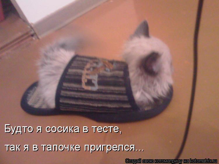 Котоматрица: Будто я сосика в тесте, так я в тапочке пригрелся...