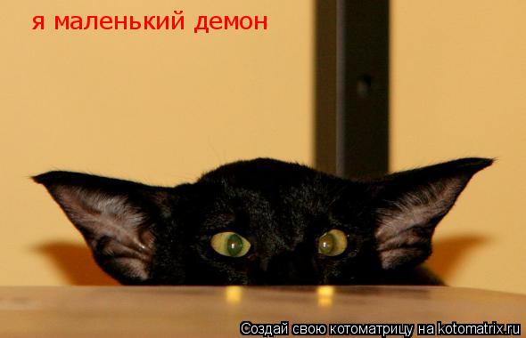 я маленький демон... Котоматрица: я маленький демон