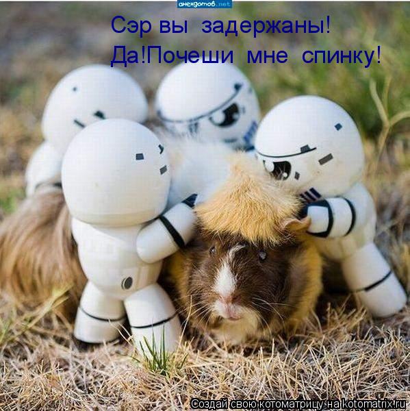 Сэр вы задержаны! Да!Почеши мне спинку!... Котоматрица: Сэр вы задержаны! Да!Почеши мне спинку!