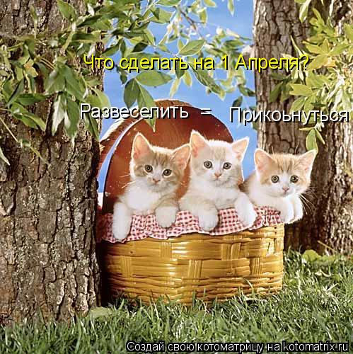 Котоматрица: Развеселить Прикоьнуться = Что сделать на 1 Апреля?