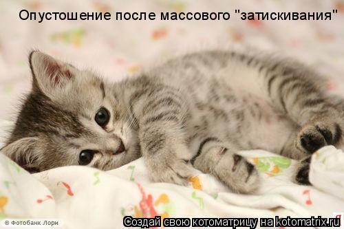 Котоматрица: Опустошение после массового "затискивания"