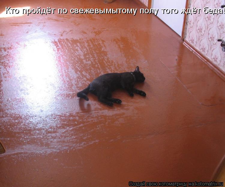 Котоматрица: Кто пройдёт по свежевымытому полу того ждёт беда!
