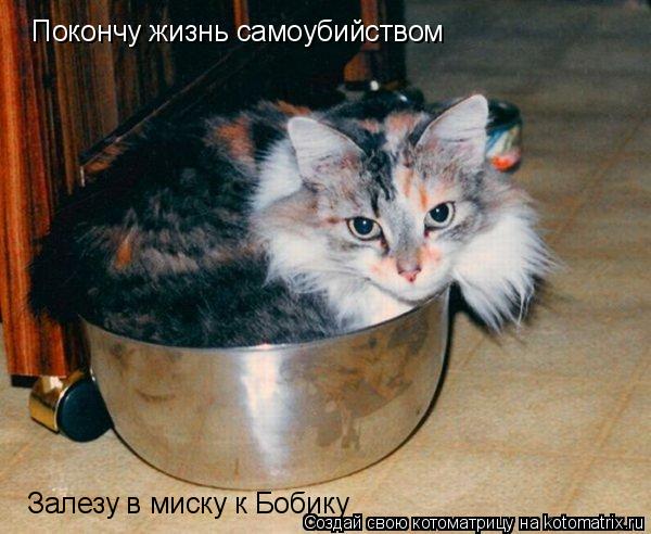 Покончу жизнь самоубийством Залезу в миску к Бобику... Котоматрица: Покончу жизнь самоубийством Залезу в миску к Бобику
