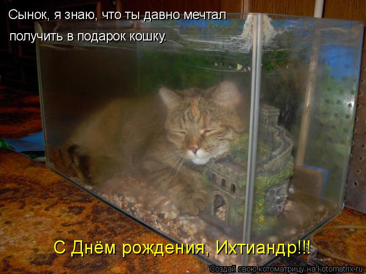 Сынок, я знаю, что ты давно мечтал получить в подарок кошку. С Днём рождения, Ихтиандр!!!... Котоматрица: Сынок, я знаю, что ты давно мечтал получить в подарок кошку. С Днём рождения, Ихтиандр!!!