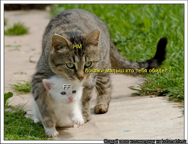 Котоматрица: FF HM покажи малыш кто тебя обидел  ?