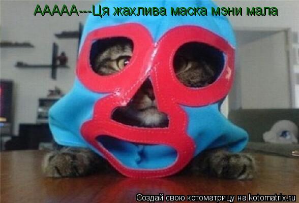 ААААА---Ця жахлива маска мэни мала... Котоматрица: ААААА---Ця жахлива маска мэни мала
