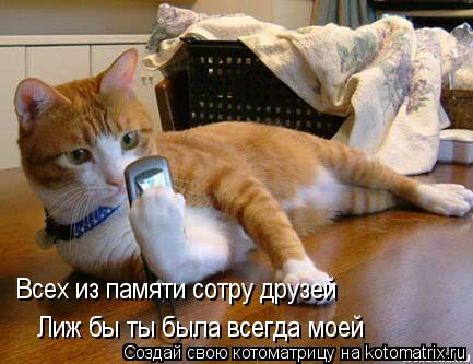 Всех из памяти сотру друзей Лиж бы ты была всегда моей... Котоматрица: Всех из памяти сотру друзей Лиж бы ты была всегда моей
