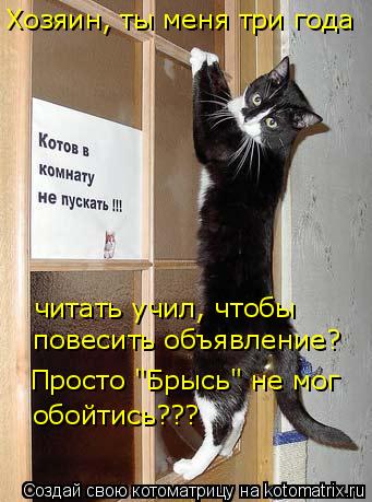 Хозяин, ты меня три года читать учил, чтобы повесить объявление? Просто "Брысь" не мог обойтись???... Котоматрица: Хозяин, ты меня три года читать учил, чтобы повесить объявление? Просто "Брысь" не мог обойтись???