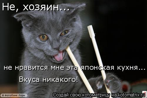 Котоматрица: Не, хозяин... не нравится мне эта японская кухня... Вкуса никакого!