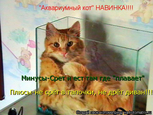"Аквариумный кот" НАВИНКА!!!! Минусы-Срет и ест там где "плавает" Плюсы-не срёт в тапочки, не дрёт ... Котоматрица: "Аквариумный кот" НАВИНКА!!!! Минусы-Срет и ест там где "плавает" Плюсы-не срёт в тапочки, не дрёт диван, колбасу со стола не тырит!!! Плюсы-не с