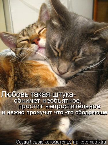Котоматрица: Любовь такая штука- обнимет необъятное,  простит непростительное  и нежно промучит что -то ободряющее