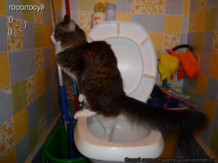 гооолосуй () () - )... Котоматрица: гооолосуй () () - )
