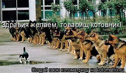 Здравия желаем, товарищ котовник!... Котоматрица: Здравия желаем, товарищ котовник!