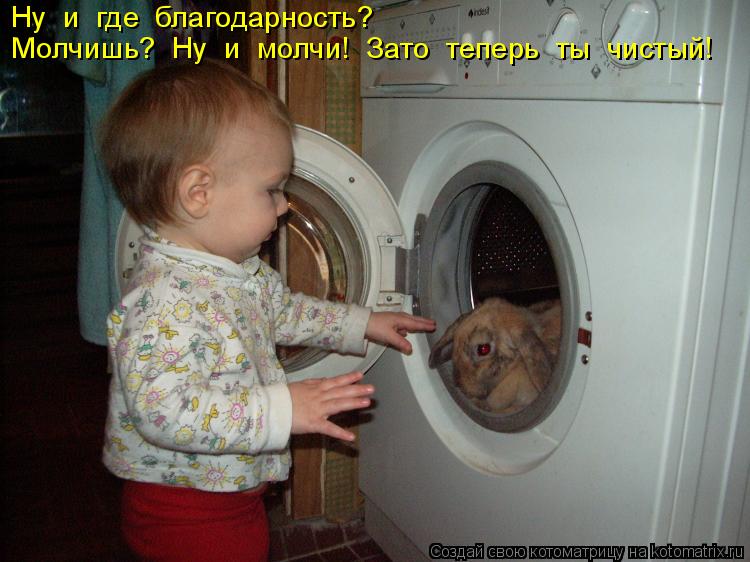 Ну и где благодарность? Молчишь? Ну и молчи! Зато теперь ты чистый!... Котоматрица: Ну и где благодарность? Молчишь? Ну и молчи! Зато теперь ты чистый!