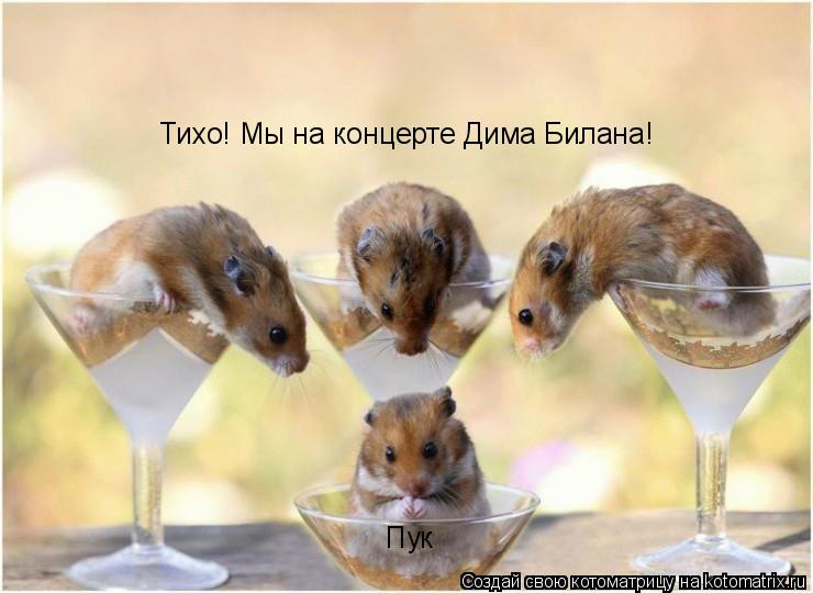 Пук Тихо! Мы на концерте Дима Билана!... Котоматрица: Пук Тихо! Мы на концерте Дима Билана!