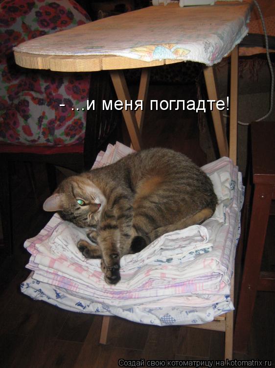 - ...и меня погладте!... Котоматрица: - ...и меня погладте!