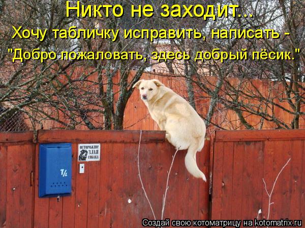 Никто не заходит... Хочу табличку исправить, написать - "Добро пожаловать, здесь добрый пёсик."... Котоматрица: Никто не заходит... Хочу табличку исправить, написать - "Добро пожаловать, здесь добрый пёсик."
