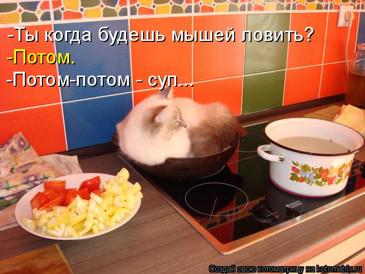 -Ты когда будешь мышей ловить? -Потом. -Потом-потом - суп...... Котоматрица: -Ты когда будешь мышей ловить? -Потом. -Потом-потом - суп...