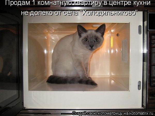 Котоматрица: Продам 1 комнатную квартиру в центре кухни  не долеко от села "Холодильниково"