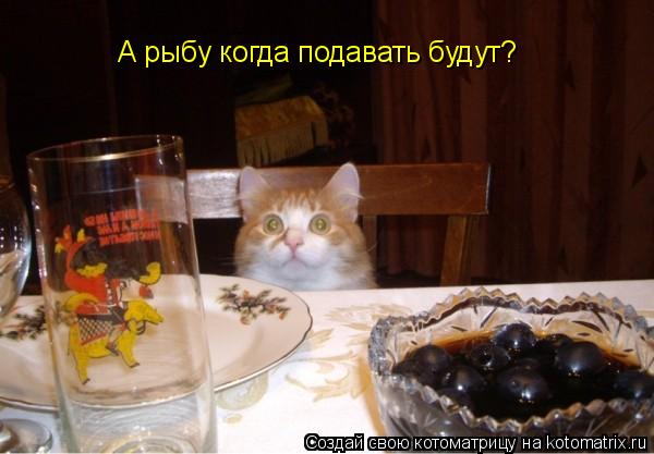 Котоматрица: А рыбу когда подавать будут?