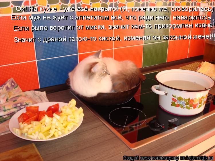 Котоматрица: Ой! На кухне - уже всё накрыто! (Я, конечно же, оговорилась) Если муж не жуёт с аппетитом всё, что ради него «наварилось», Если рыло воротит от м
