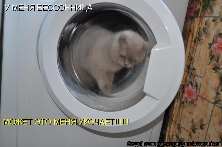 Котоматрица: У МЕНЯ БЕССОННИЦА МОЖЕТ ЭТО МЕНЯ УКОЧАЕТ!!!!!!