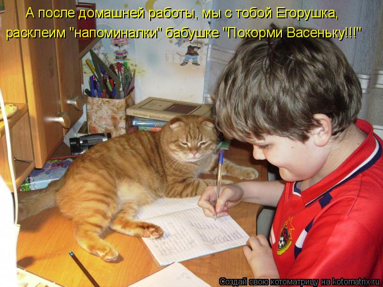 А после домашней работы, мы с тобой Егорушка, расклеим "напоминалки" бабушке "Покорми Васеньку!!!"... Котоматрица: А после домашней работы, мы с тобой Егорушка, расклеим "напоминалки" бабушке "Покорми Васеньку!!!"