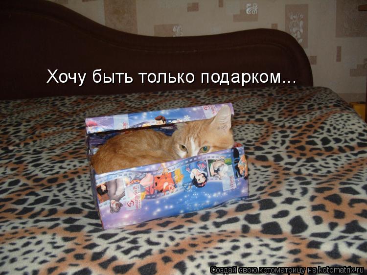 Котоматрица: Хочу быть только подарком...