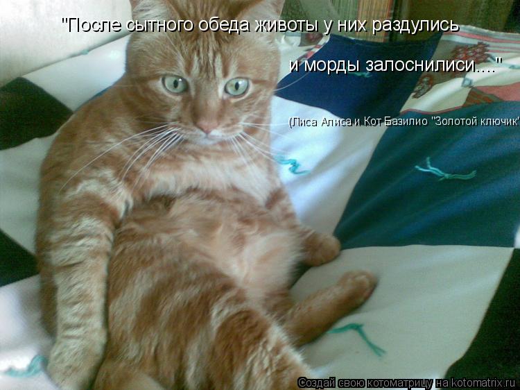 Котоматрица: "После сытного обеда животы у них раздулись  и морды залоснилиси...." (Лиса Алиса и Кот Базилио "Золотой ключик")