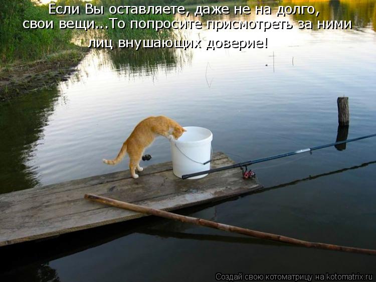 Если Вы оставляете, даже не на долго, свои вещи...То попросите присмотреть за ними лиц внушающих дов... Котоматрица: Если Вы оставляете, даже не на долго, свои вещи...То попросите присмотреть за ними лиц внушающих доверие!