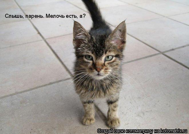 Слышь, парень. Мелочь есть, а?... Котоматрица: Слышь, парень. Мелочь есть, а?