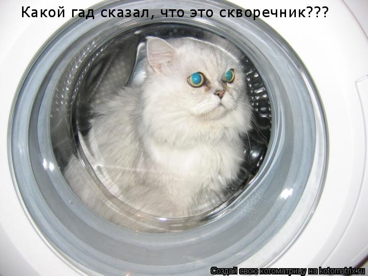 Котоматрица: Какой гад сказал, что это скворечник???