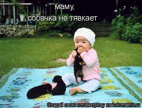 Котоматрица: маму, собачка не тявкает