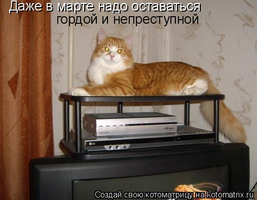 Котоматрица: Даже в марте надо оставаться гордой и непреступной