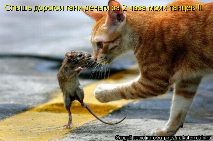 Котоматрица: Слышь дорогои гани деньги за 2 часа моих танцев!!!