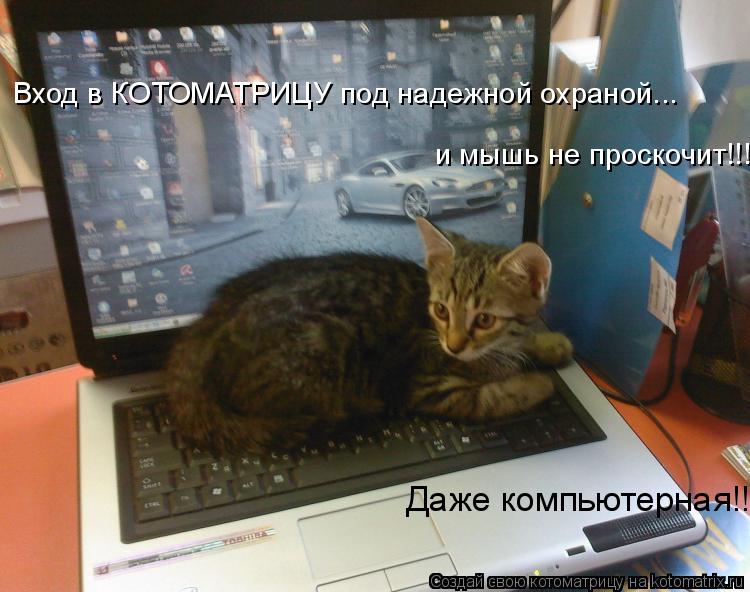Вход в КОТОМАТРИЦУ под надежной охраной... Даже компьютерная!!! и мышь не проскочит!!!... Котоматрица: Вход в КОТОМАТРИЦУ под надежной охраной... Даже компьютерная!!! и мышь не проскочит!!!