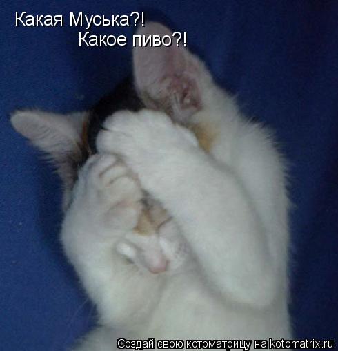 Котоматрица: Какая Муська?! Какое пиво?!