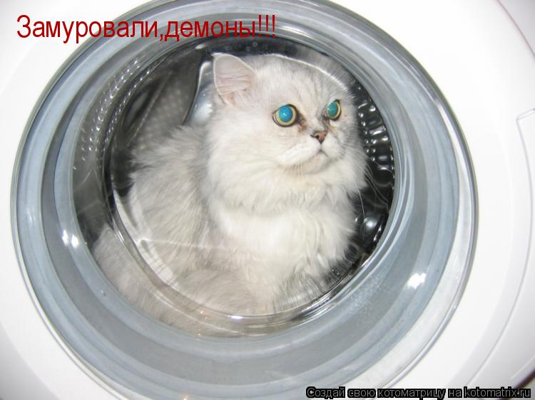 Котоматрица: Замуровали,демоны!!!