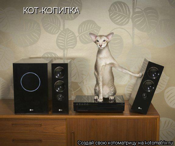 Котоматрица: КОТ-КОПИЛКА