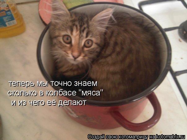 Котоматрица: теперь мы точно знаем сколько в колбасе "мяса" и из чего её делают