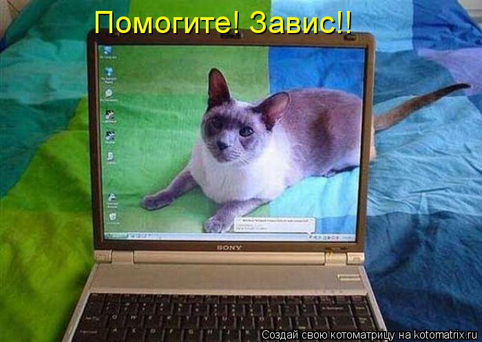 Котоматрица: Помогите! Завис!!