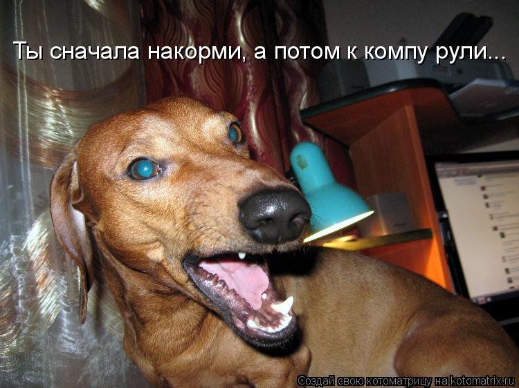 Котоматрица: Ты сначала накорми, а потом к компу рули...