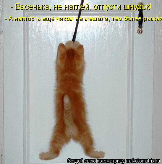 - Васенька, не наглей, отпусти шнурок! - А наглость ещё ником не мешала, тем более рыжая!... Котоматрица: - Васенька, не наглей, отпусти шнурок! - А наглость ещё ником не мешала, тем более рыжая!